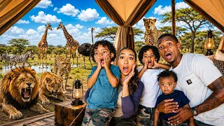 We Stayed in a Luxury Animal Hotel! *crazy experience*
