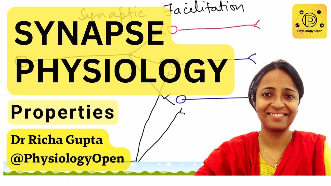 Properties of synapse physiology \| CNS physiology mbbs 1st year