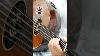 الفنان فؤاد الكبسي   جلسة لاصحاب الذوق الرفيع     صغير يا خل سنك دندنها