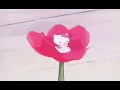 muni long - plot twist (slowed + reverb)