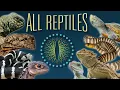 TOURING AN AMAZING REPTILE STORE