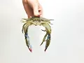 How-To Cleaning Soft-Shell Crabs