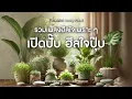 รวมเพลงฮีลใจเพราะๆ เปิดปุ๊บ ฮีลใจปั๊บ [ Playlist Long Play ]