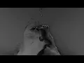 Franky Wah - Down For You ft. Jyll