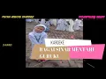 Download Lagu Karaoke Bagai Sinar Mentari - Jasamu Guru - Terima Kasihku Guru sound Keyboard ViolaFrilly Music