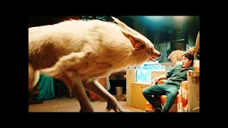 sunehri lomdi hanson u0026 the beast hollyhood sunheri lomdi youtube atest hollywood movies seen