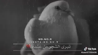 حاتم العراقي مثل طير بقفص وحدة 