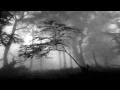 Download Lagu Lamentations of the Ashen - Their Sleep I Covet Download Lagu Lamentations of the Ashen - Their Sleep I Covet