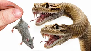 حصلت على أفعى ذات رأسين             دندنها