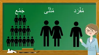 SINGULAR DUAL AND PLURAL NOUNS IN ARABIC 