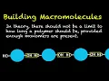 Human Physiology 11 - Construction of Macromolecules