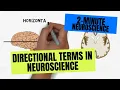 2-Minute Neuroscience Directional Terms in Neuroscience