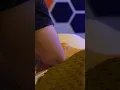 Full Posterior Leg Massage Routine 20x Speed