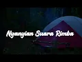 Download Lagu NYANYIAN SUARA RIMBA PENGANTAR TIDUR SOLO CAMPING HUJAN DERAS DITENGAH HUTAN SENDIRIAN