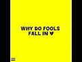 Why Do Fools Fall in Love