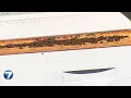 Local beekeepers working to combat declining honey bee populations WHIO-TV