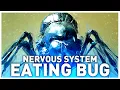 The Brain Control Bug from Starship Troopers 2 Explained Parasitic Consumption of Neural Tissue