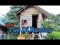 Download Lagu NEW TUE DI RANTAU - LAGU DAERAH BATANG HARI SEMBILAN