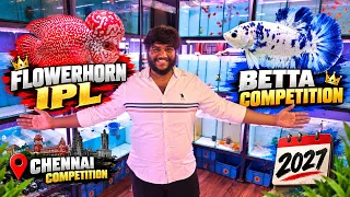 Betta Competition & Flowerhorn IPL 🔥 Full Details in Tamil | chennai