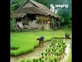 Download Lagu Gambuh Royal. Duet tgl. 11 - 05 - r2025. @.