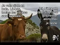 Memes corses hilarants la macagna dans toute sa splendeur Compilation qui va vous faire rire