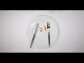 Download Lagu Watch: London start-up turns lobster shells into plastic alternative