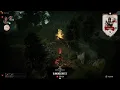 PAWS REFLECT Klue - Invasions