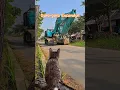 Download Lagu Gara-gara excavator kucing kaget #excavator #kucing #kucingkaget #shorts