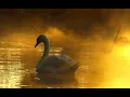 Glenn John  - Tu Jo Nahin - Woh Lamhe