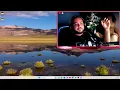 ❤️ HOW MR. BLACK LOOKED AFTER MY CHANNEL