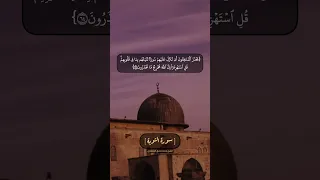 سورة التوبة الآية ٦٢ الى ٦٤ بصوت الشيخ محمد صديق المنشاوي 