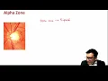Alpha Beta Zone II Optic Nerve Head Evaluation II Glaucoma