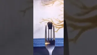 Repair A Zipper In Seconds With Soli 