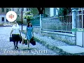 Lagu Zonja nga qyteti / Madam from the city (Film Shqiptar/Albanian Movie)