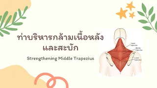  ควรทำท่าบริหารนี้กี่ครั้งต่อเซต 