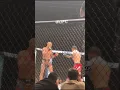 Download Lagu Alex Pereira absorbed Magomed Ankalaev left hand | UFC 313 #Shorts #UFC