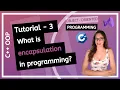 C OOP - What is encapsulation in programming