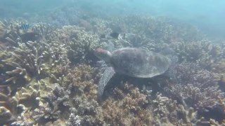 138-Sailing Fitzroy Island to Cairns