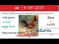 Download Lagu 14 September 2025 today winning colours/Today winning colours /vision of kukkuta sastram in colours