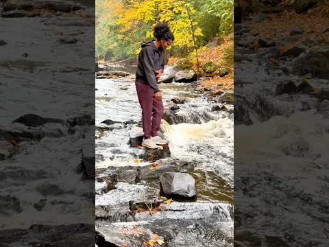 Fall colours Canada part 2. இலையுதிர் நிறங்கள் கனடா. #canada #fall #colours #foryou #fyp