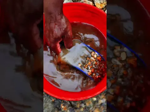 Loaded Black Sand Gold Prospecting