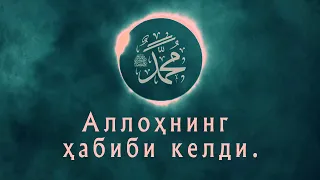 gozal nashida allohning habibi keldi munshidaat guruhi