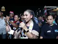 Download Lagu BUNGA SEDAP MALAM - DINDA PUSPITASARI SINGA DANGDUT ANDI PUTRA ONE PEMUDA PLAZA - 31 AGUSTUS 2025