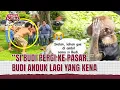 Download Lagu Budi Anduk, Pepi dan Topeng Monyetnya | Tawa Sutra Bisa Ajaa Eps 53 2/2