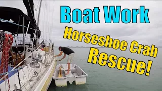 How to Install a Stern Anchor Roller and More! | Sailing Wisdom Episode 108