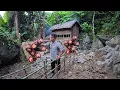Download Lagu Garden vegetables and sell natural products to make money, rebuilding life from scratch, Trần Công