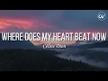 Céline Dion - Where Does My Heart Beat Now [Lyrics]