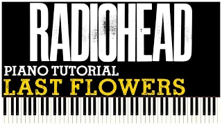 Download Radiohead - Last Flowers (Piano Tutorial Synthesia) MP3