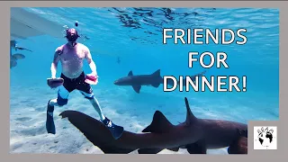 Oven Rock Cave Hike and Prime Cay – Episode 24 #catamaransailing