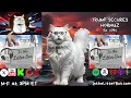 TRUMP SECURES HORMUZ In the Litter Box w Jewels Catturd - Ep 1081